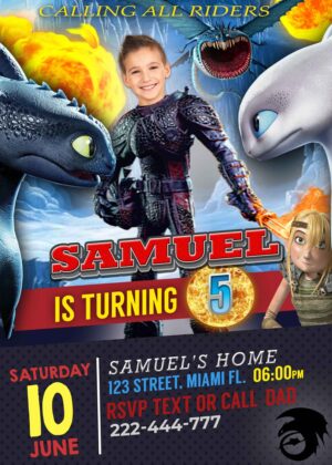 How To Train Your Dragon Birthday Invitation , Hiccup Costume