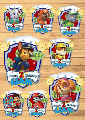8 Paw Patrol Birthday Centerpieces