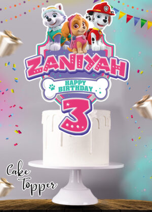 Paw Patrol Girl Cake Topper